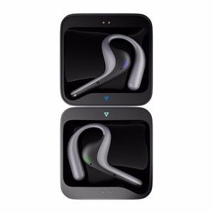 TIMEKETTLE W4 Pro vertimo ausinės