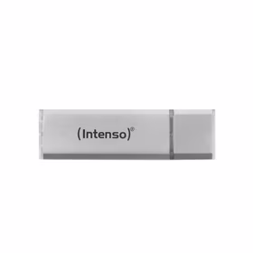 USB atmintinė USB2 32GB sidabrinė Intenso