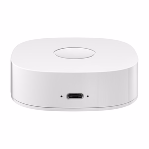 Išmanusis namas WS2GW-R WiFi