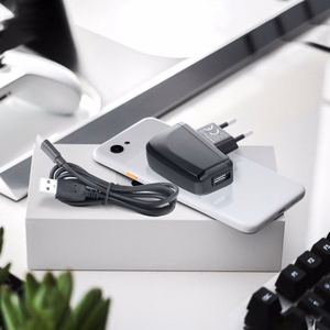 Įkroviklis Blue Star (TFK-TC-1095B) + laidas "USB-C (Type-C)" 2A (10W) juodas