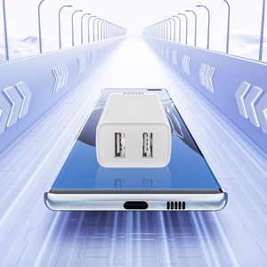 Зарядное устройство Awei C15-EU 10W 2xUSB-A белый
