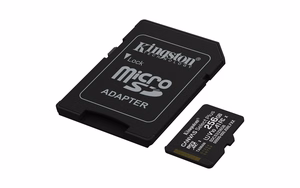 Kingston Technology Canvas Select Plus Gen3 256 GB MicroSDXC UHS-I Klasės 10