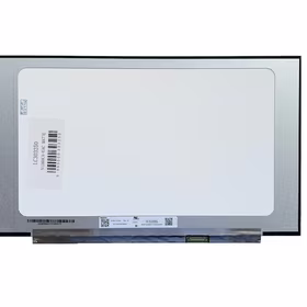 Ekranas 15.6", 1920x1080, 60Hz, matinis, 30pin, dešinėje, IPS