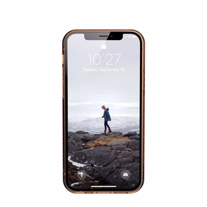 UAG Urban Armor Gear case LUCENT for IPHONE 12 Pro Max orange