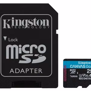 Kingston Technology Canvas Go! Plus 256 GB MicroSD UHS-I Klasės 10