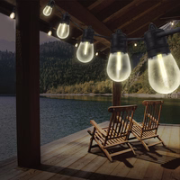 Forever Light LED Solar Garland SUNARI FLS-60 7,5m 10 bulbs IP44