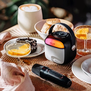 Adler AD 1199 karaokės garsiakalbis su mikrofonu, SD/USB/AUX/Bluetooth, juodas