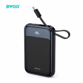BWOO PD 20W 10000 mAh Išorinė baterija With Usb-c Laidas and Ekranas P80 auksinis