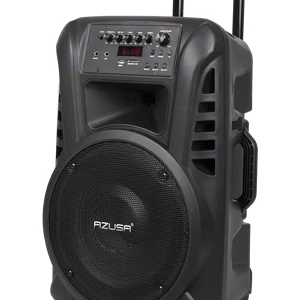 Aktyvi garso kolonėlė su 2 belaidžiais mikrofonais, SD, Bluetooth, USB, 12 colių, 40 W