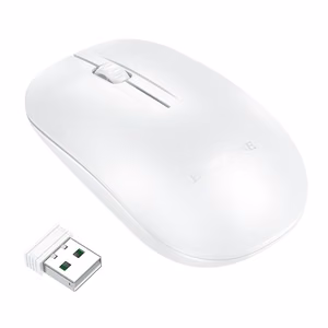 Borofone Computer mouse BG14 Planet wireless white