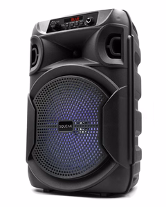 SQUEAK KARAOKĖS GARSIAKALBIS PULSETOWER BT 5.3 + EDR SQ1006