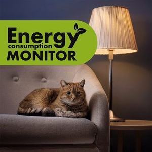 GreenBlue energijos skaitiklis, vatmetras, 16 A, maks. 3680 W, dalinė atmintis, GB620 E