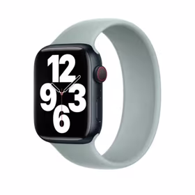 APPLE DIRŽELIS APPLE WATCH SOLO LOOP 42/44/45MM SIZE 9 SUCCULENT be pakuotės