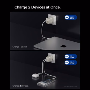 Spigen Essential EE472EU-GAN 2 jungčių 47 W sieninis įkroviklis – titano spalvos