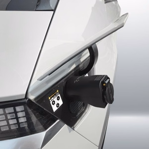 Adapteris Reach Type2 V2L (CN)