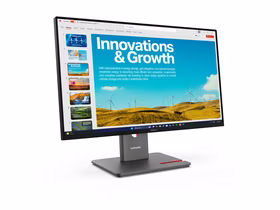 Lenovo ThinkVision P24QD-40 23.8" monitorius