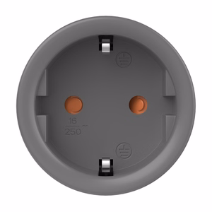 Sonoff S60ZBTPF ZigBee išmanusis lizdas