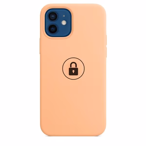 Phone Case "Silicone Case v2" for iPhone 12 (12 Pro) / Cantaloupe / in package