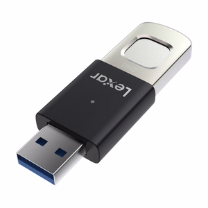 Lexar Fingerprint F35pro USB 3.2 256GB atmintinė