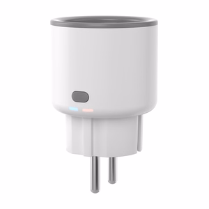 Sonoff S60ZBTPF ZigBee išmanusis lizdas