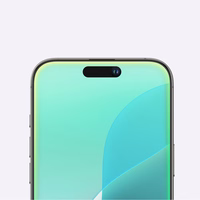 AmazingThing Radix matinio stiklo grūdintas stiklas iPhone 16 Pro telefonui