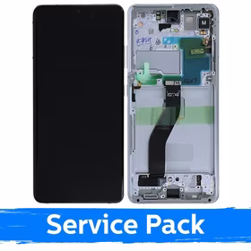 Ekranas skirtas Samsung G998 S21 Ultra su rėmeliu / Phantom Silver / (Service Pack)
