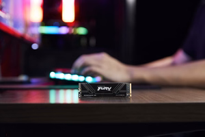 Kingston Technology 2T FURY RENEGADE G5 M.2 2280 NVMe SSD