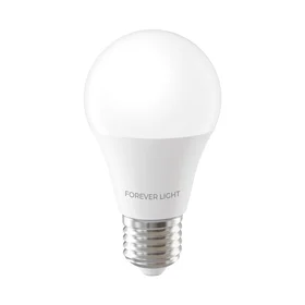 Forever Light LED Bulb E27 A55 4W 480lm 4000K class E