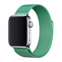 Magnetinė apyrankė Apple Watch 45mm - mėtų