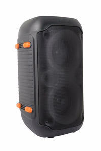 Esperanza EP156 BT FM LED RGB KARAOKE garsiakalbis juodas 20W