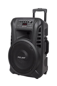 Aktyvi garso kolonėlė su 2 belaidžiais mikrofonais, SD, Bluetooth, USB, 12 colių, 40 W
