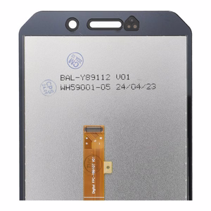 FixCell LCD ekranas DOOGEE S61 Pro OEM be rėmelio
