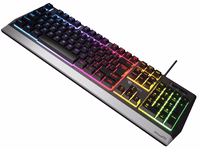 GENESIS Rhod 300 RGB klaviatūra Žaidimams USB QWERTY Anglų Juoda