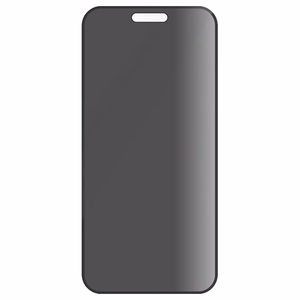 PanzerGlass privatumo apsauginis stiklas iPhone 16 6.1" itin platus P2861