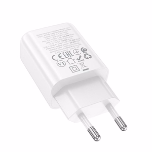 Įkroviklis Hoco N61 (1xUSB-C;1xUSB 20W) baltas