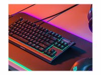 STEELSERIES Apex 3 TKL Klaviatūra (US)