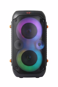 Esperanza EP156 BT FM LED RGB KARAOKE garsiakalbis juodas 20W