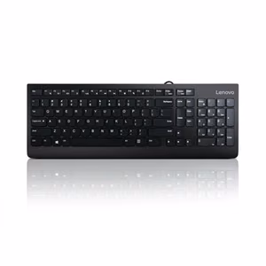 Lenovo USB Keyboard 300 Wired keyboard Wired EN Black