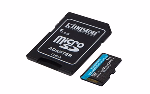 Kingston Technology Canvas Go! Plus 1 TB MicroSD UHS-I Klasės 10
