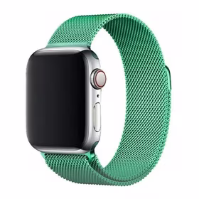 Magnetinė apyrankė Apple Watch 45mm - mėtų