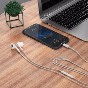 Dudao įstatomos ausinės su USB Type-C jungtimi baltos (X14PROT)