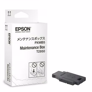 Epson C13T295000 priežiūros talpykla, skirta WorkForce WF-100W