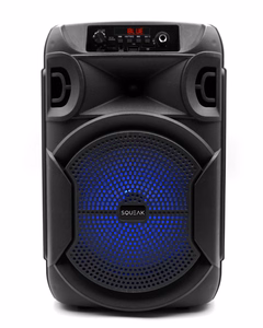 SQUEAK KARAOKĖS GARSIAKALBIS PULSETOWER BT 5.3 + EDR SQ1006