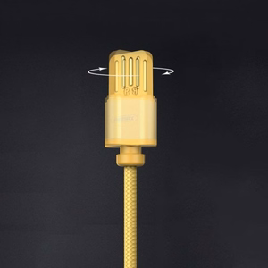 USB laidas Remax RC-095i rudas Lightning 100cm (su nuimamu magnetiniu jungtuku)
