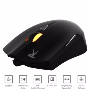 Gamdias Ourea optical mouse, 2500 DPI