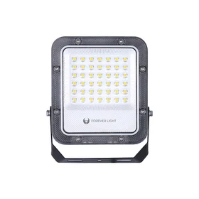 Floodlight LED PROXIM+ 30W 4000K 4500lm 230V IP65 Forever Light 150lm/W 5 years warranty