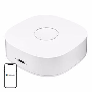 Išmanusis namas WS2GW-R WiFi