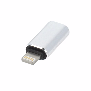 Adapteris Type C (moteriškas) į Lightning (vyriškas) sidabrinis