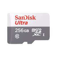 SanDisk Ultra 256 GB MicroSDXC UHS-I Klasės 10