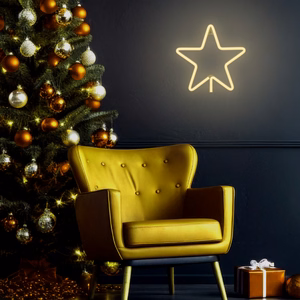 Neon LED kalėdinė žvaigždė šiltai balta FLNE22 Forever Light